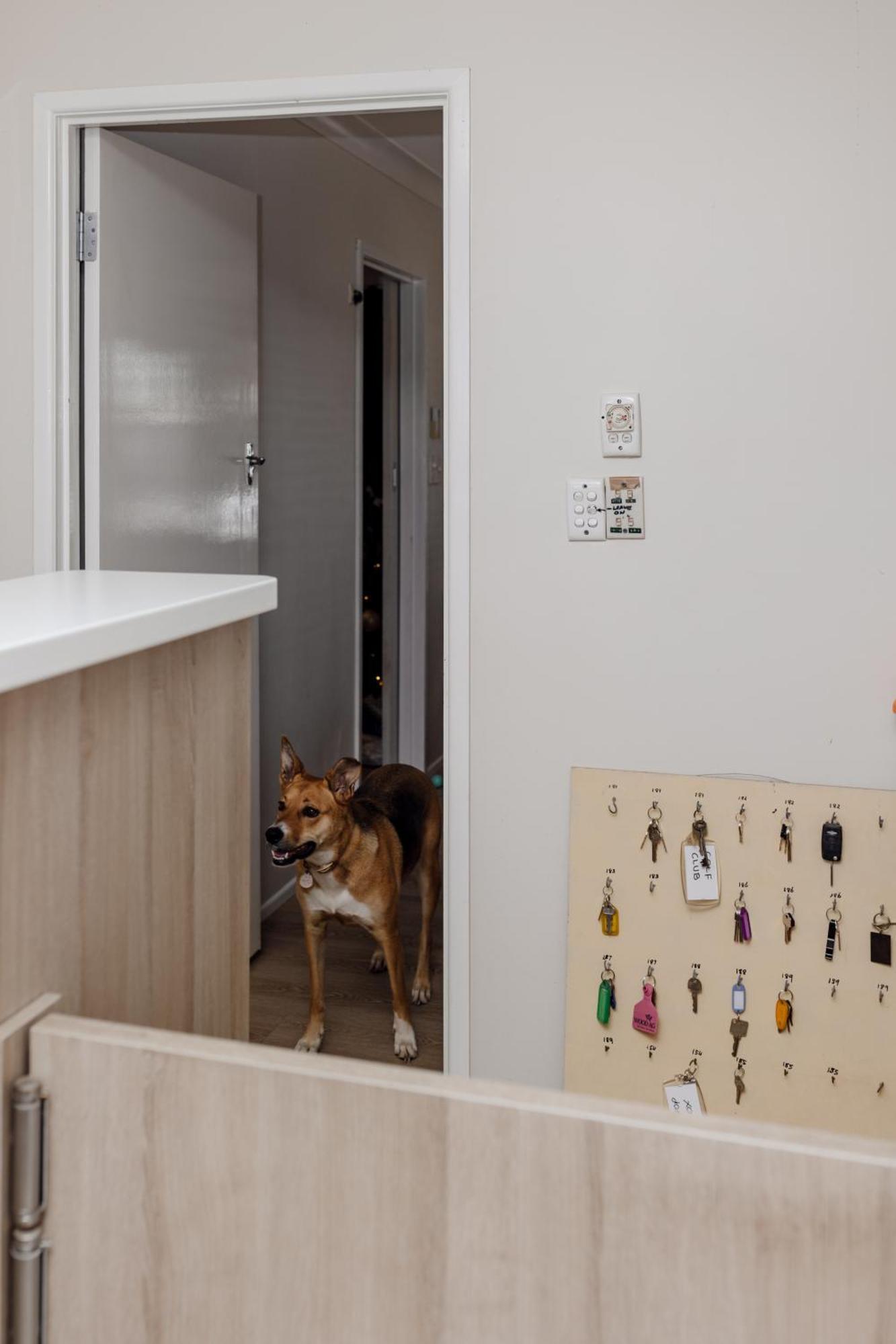 Starline Motor Inn Miles Dış mekan fotoğraf